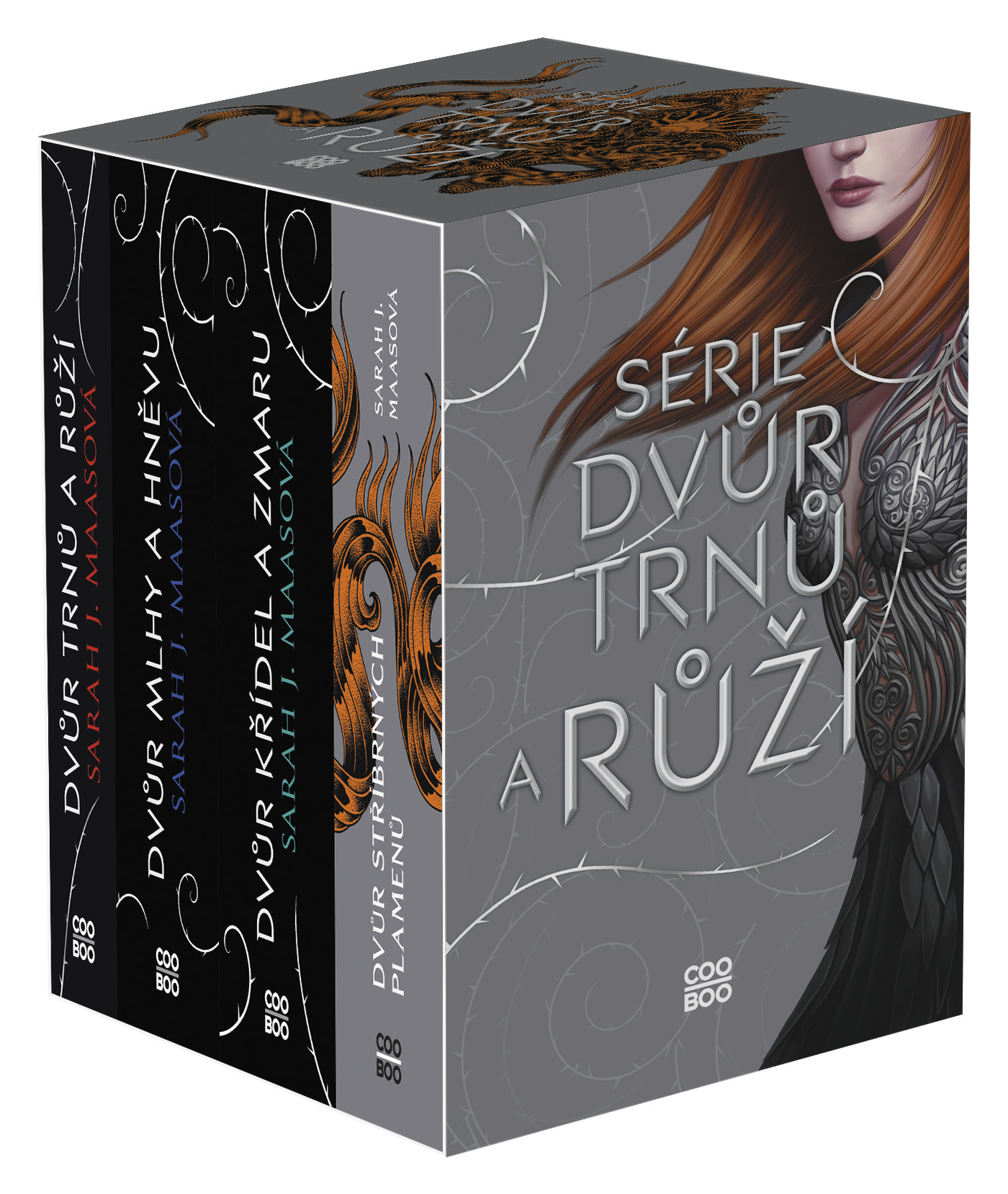 Dvůr trnů a růží - box 1-4