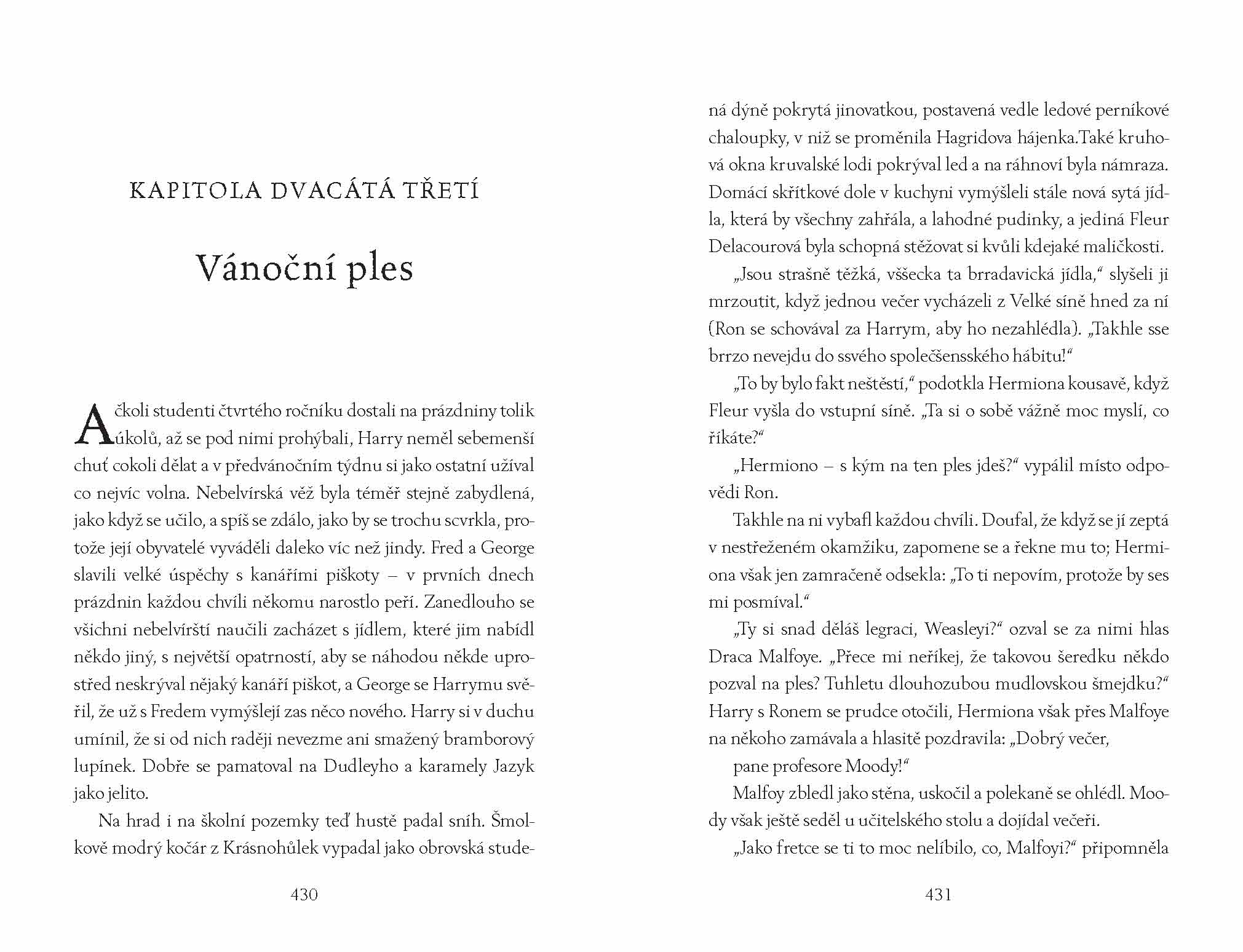 Harry Potter a Ohnivý pohár