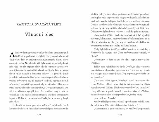 Harry Potter a Ohnivý pohár