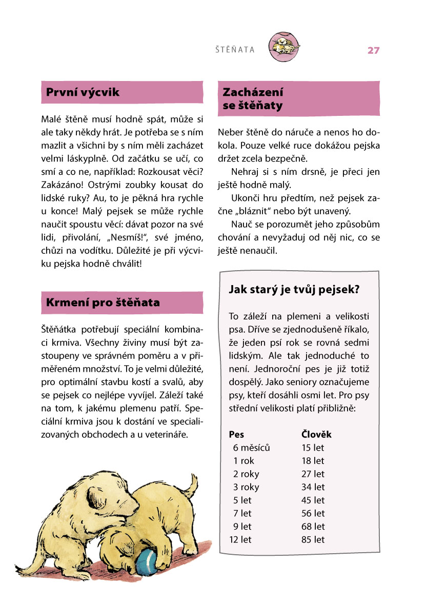 Můj pejsek