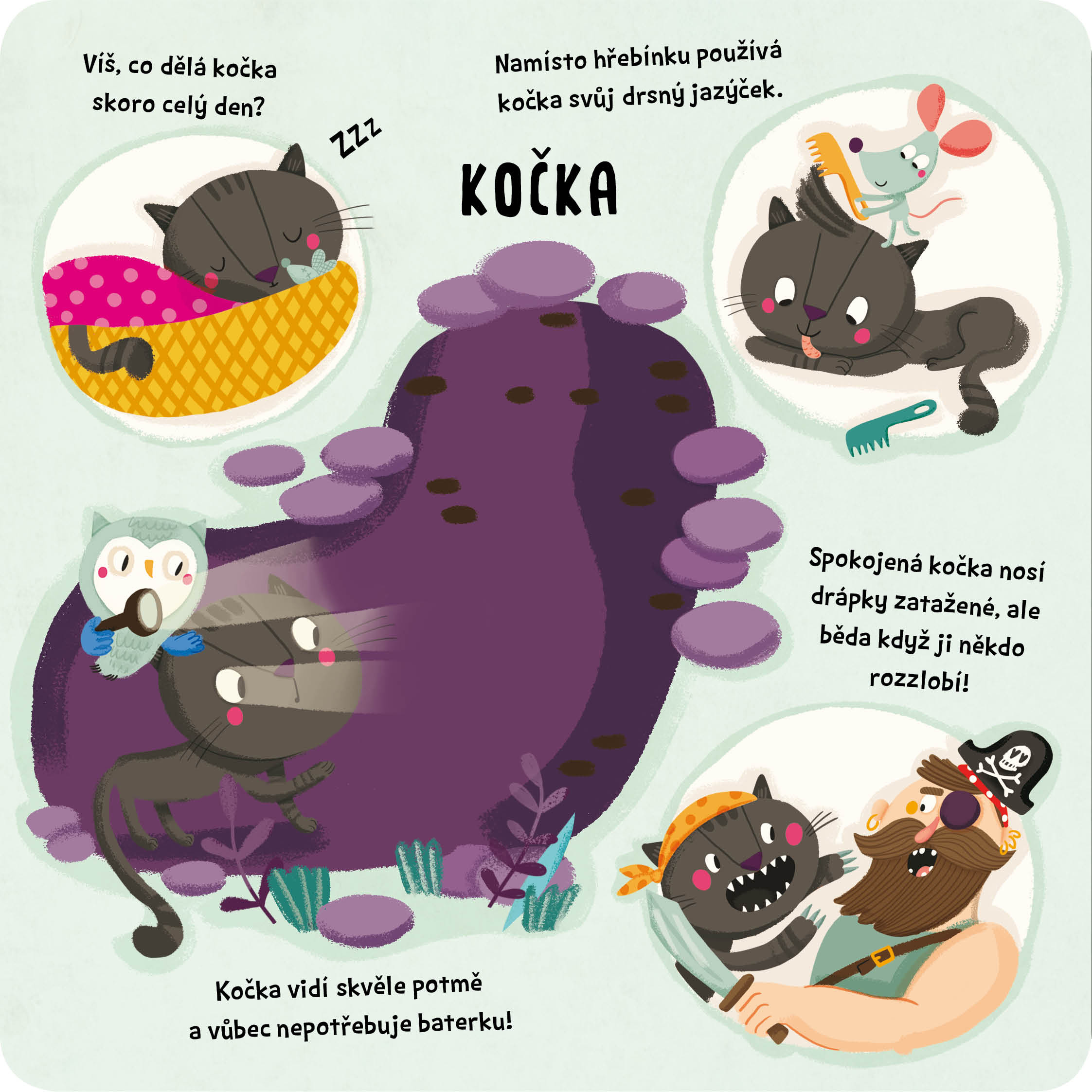 Najdi mě! Zvířátka s barevnými kabátky