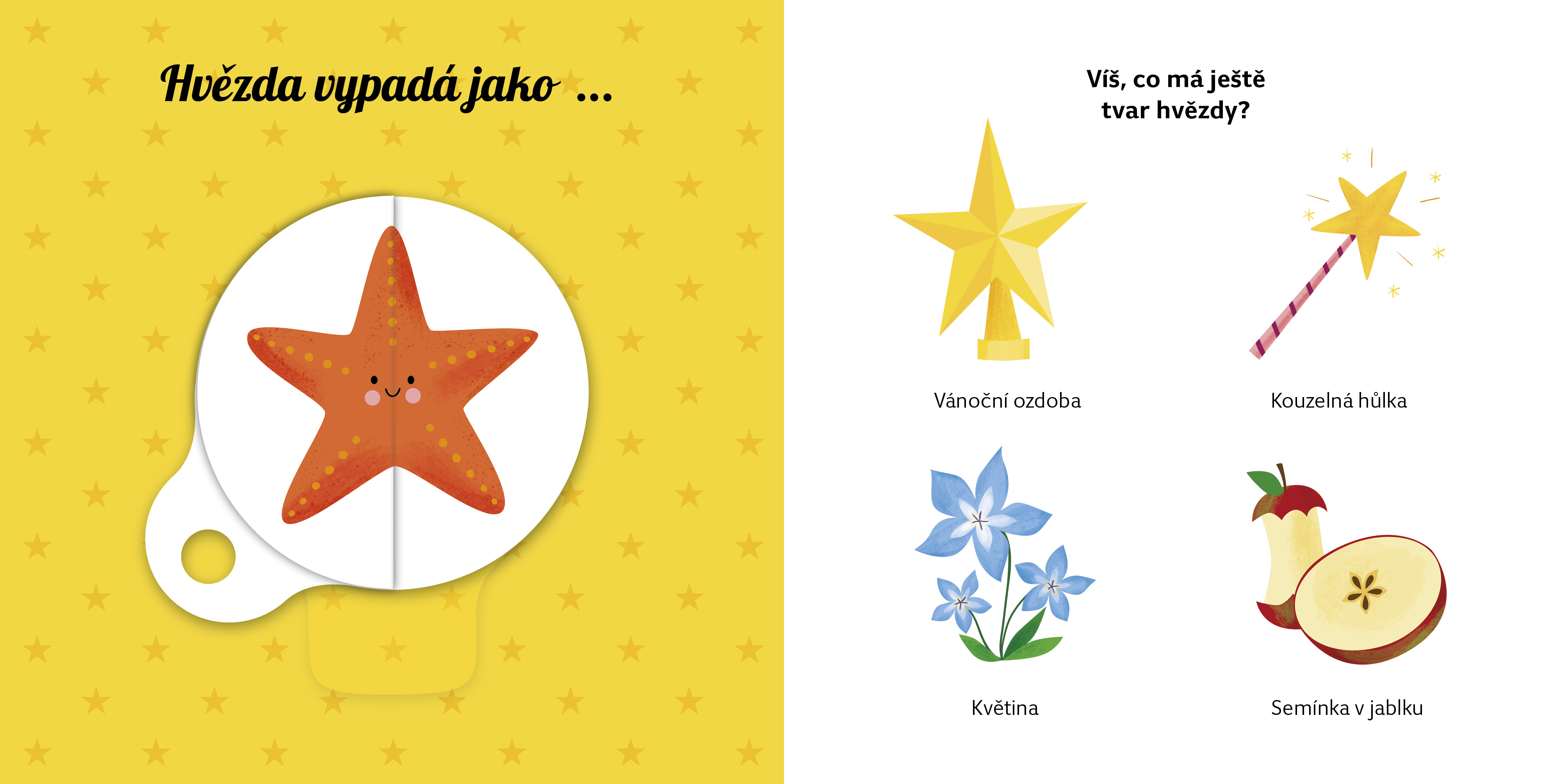 Uč se tvary s kouzelným kolečkem