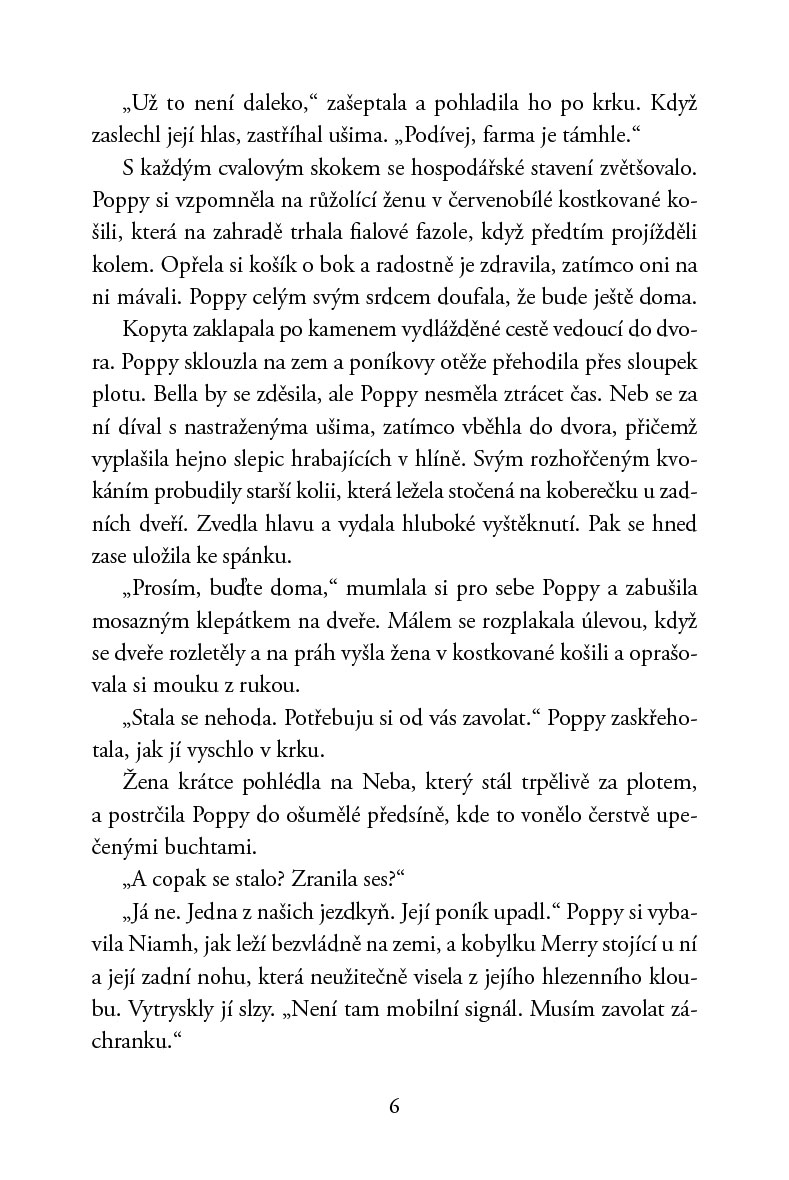 Poníci od stříbrné řeky – Jízdárna v ohrožení