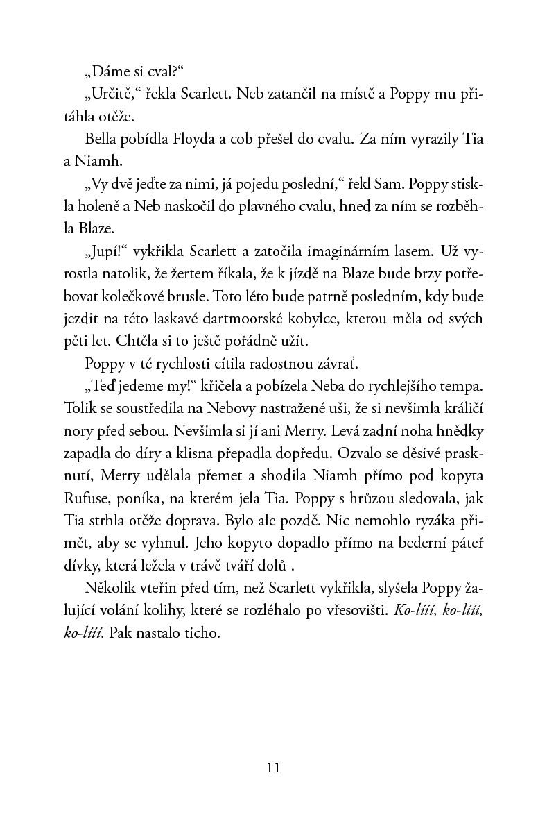 Poníci od stříbrné řeky – Jízdárna v ohrožení