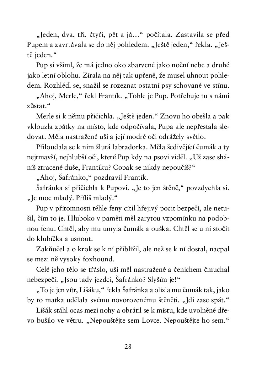 Tulák jménem Pup
