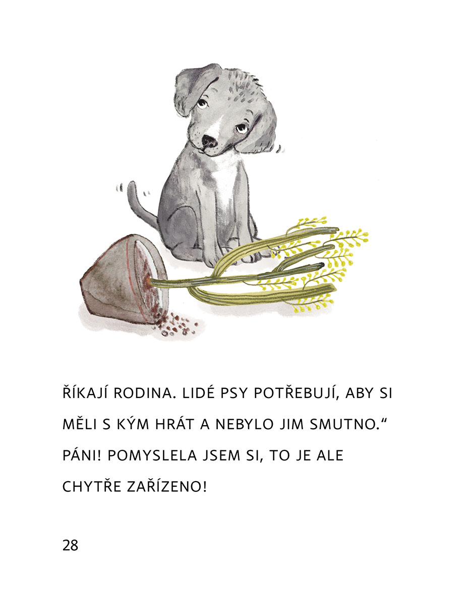 Zprávy z pelíšku 