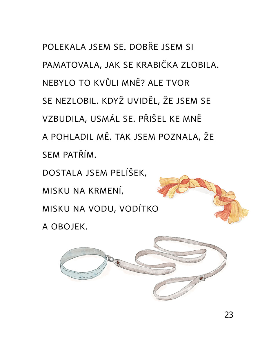 Zprávy z pelíšku 