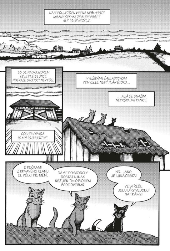 Kočičí válečníci: Havranova cesta (3) - Srdce válečníka