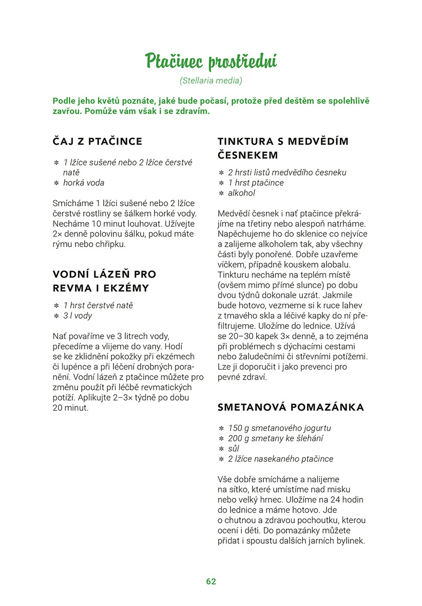 Bylinkopedie v kuchyni