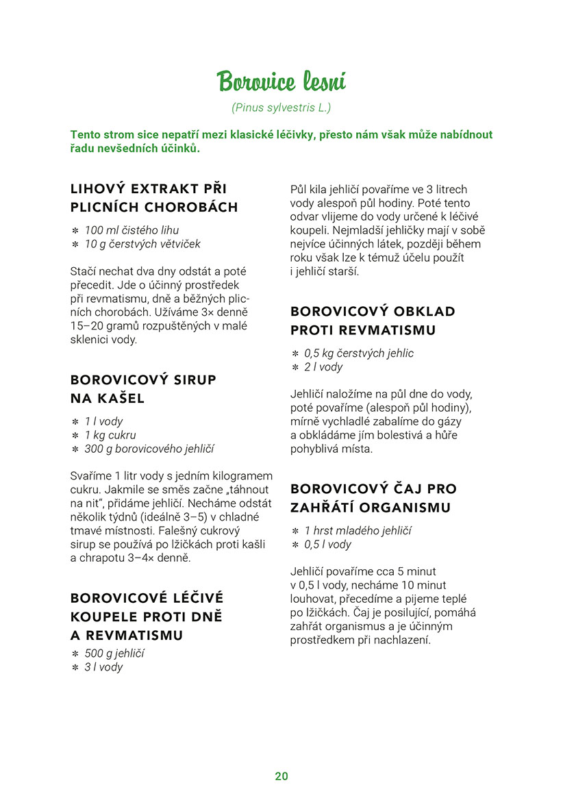 Bylinkopedie v kuchyni
