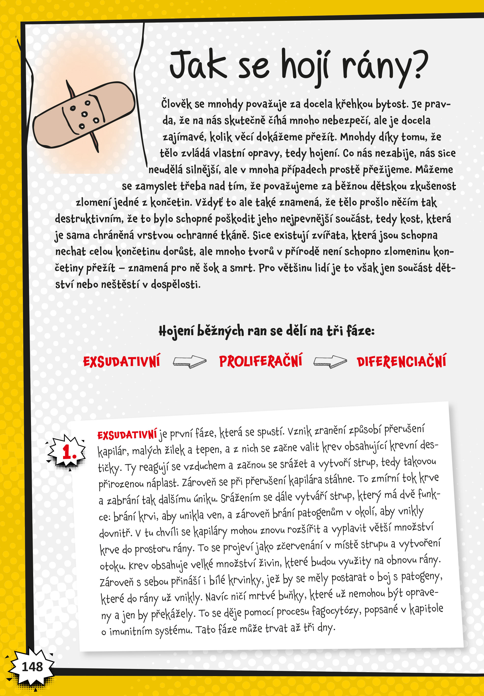 Vědecké kladivo