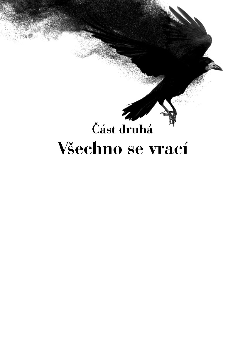Zmizení Sáry Lindertové