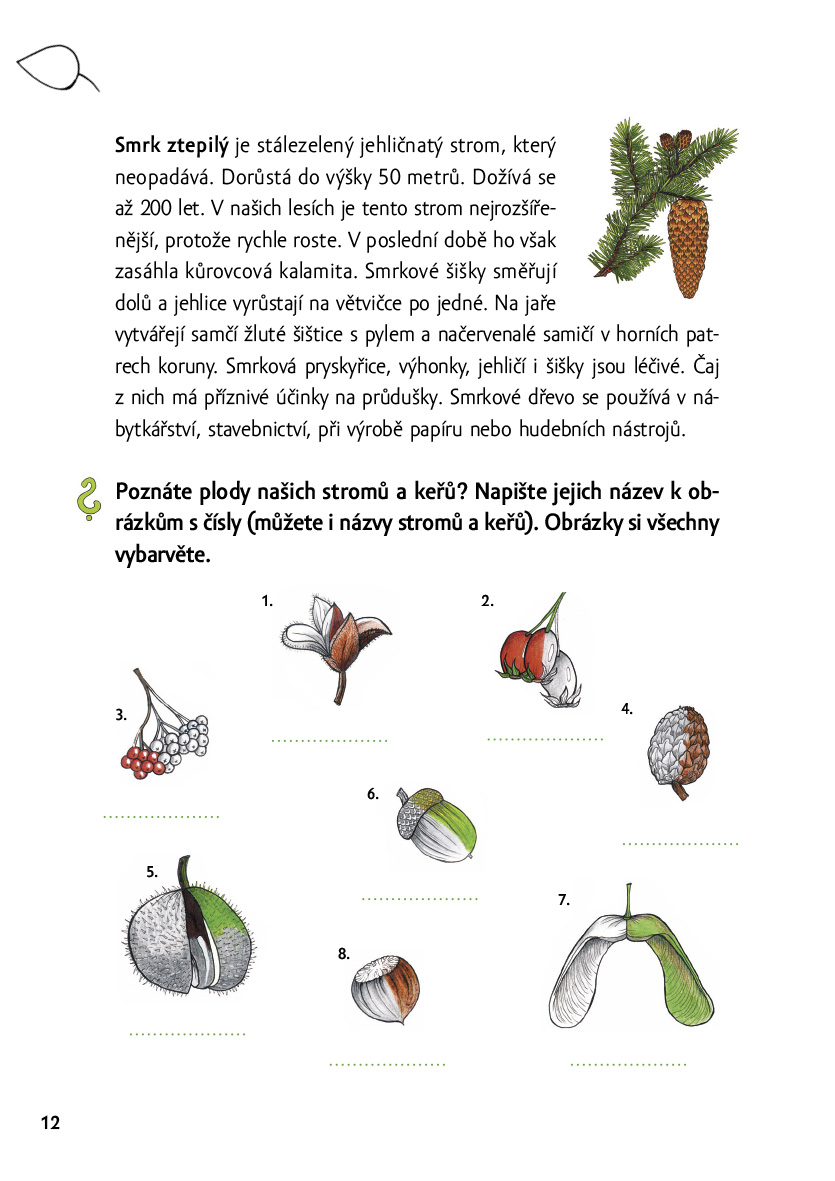 Poznávej les – hravý zápisník