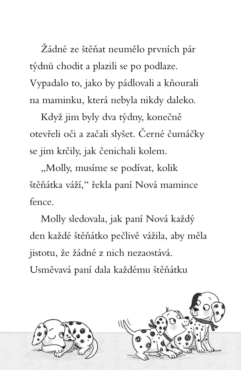 Štěpka a Štístko – Záhada zmizelých štěňátek