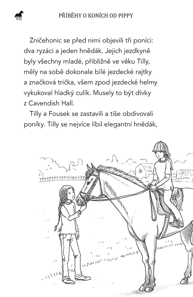 Kůň mých snů Spirit