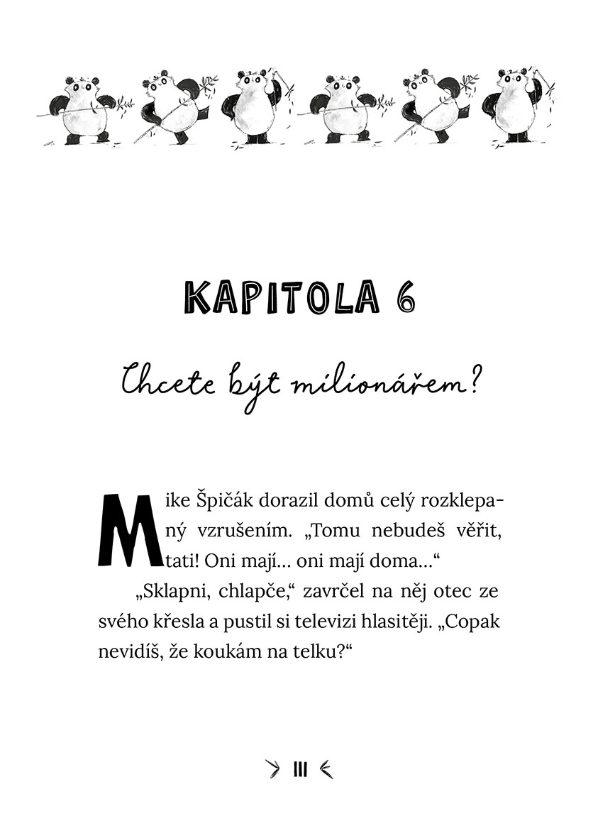 Za dveřmi je panda
