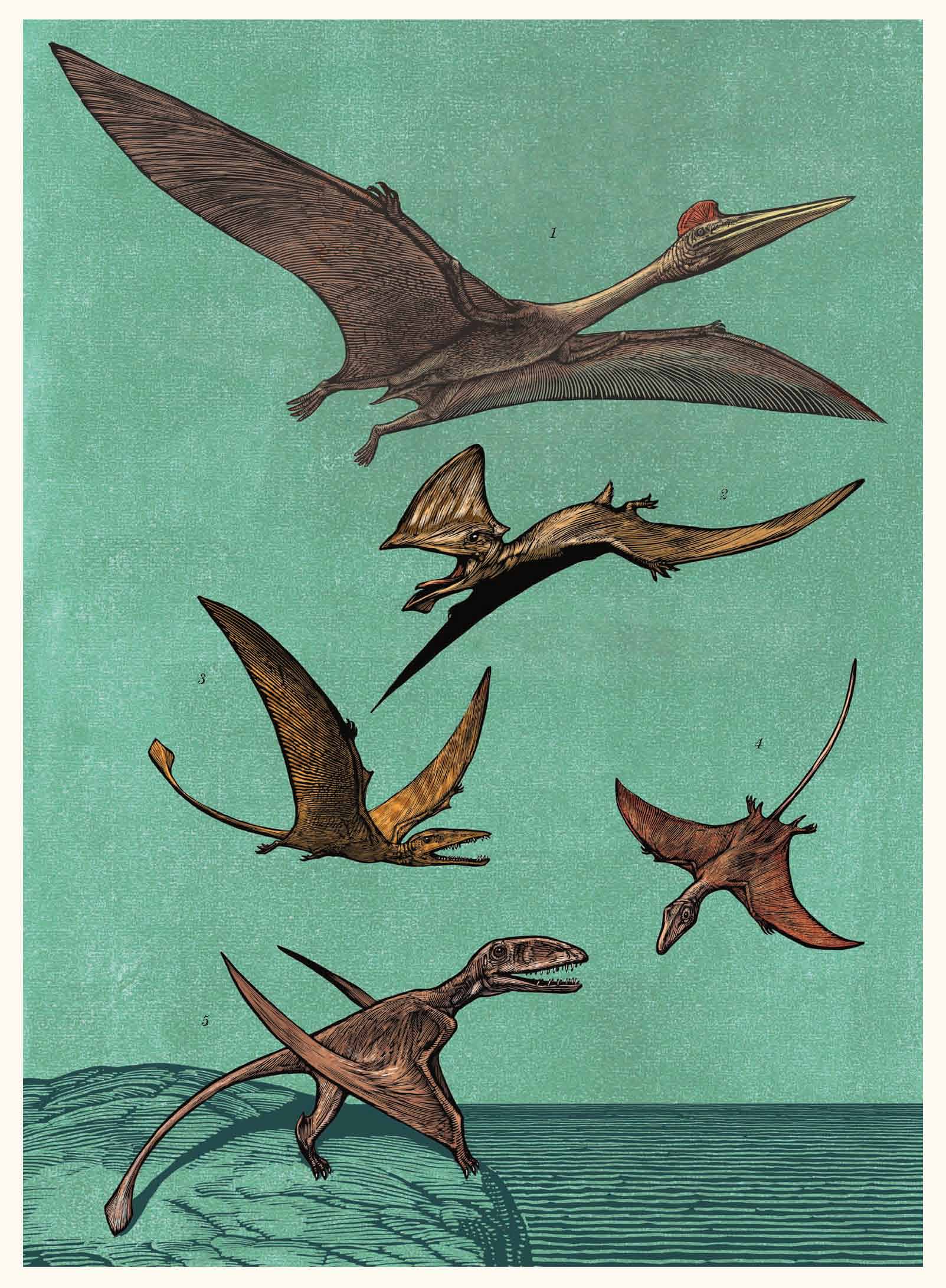 Dinosaurium