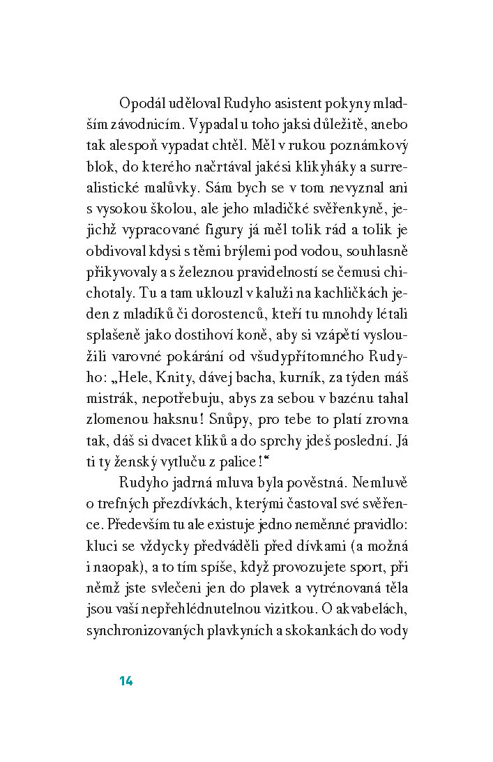 Delfín z louže