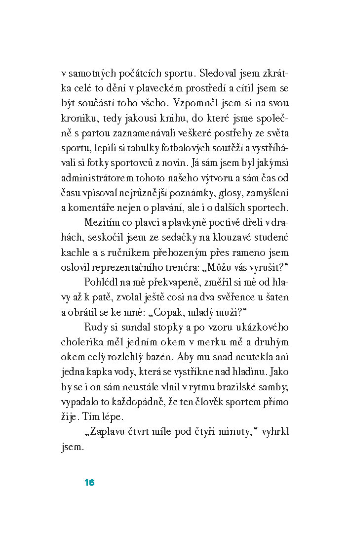 Delfín z louže