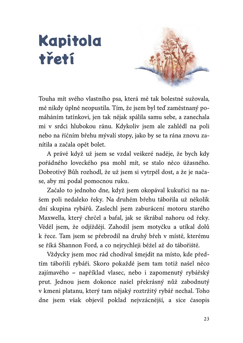 Kde roste červené kapradí