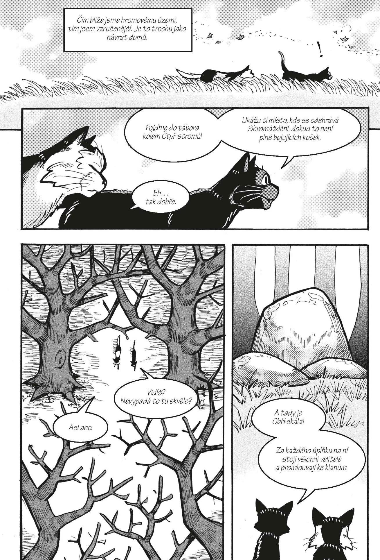Kočičí válečníci: Havranova cesta (2) - Klan v nouzi