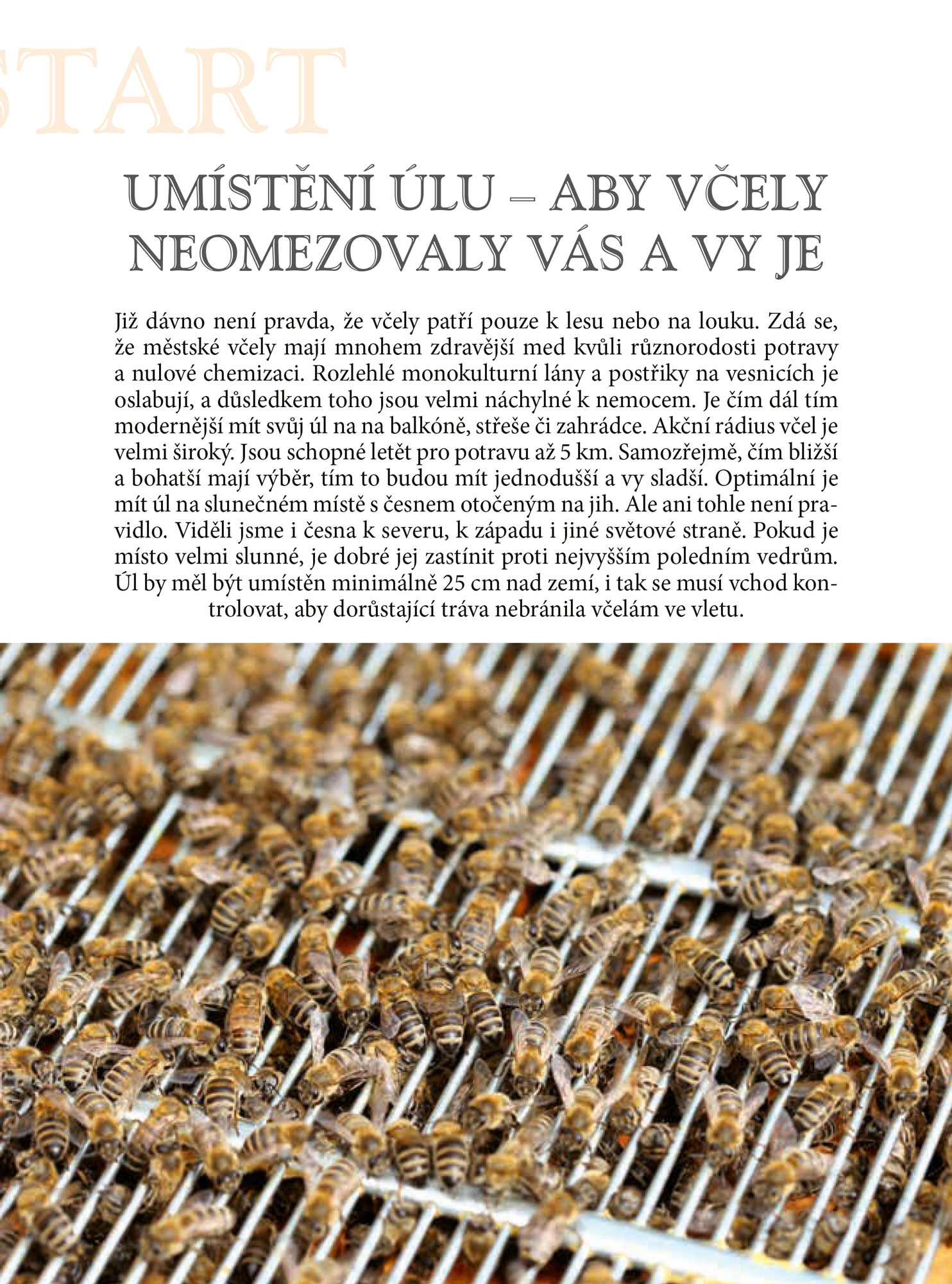 Začínáme včelařit