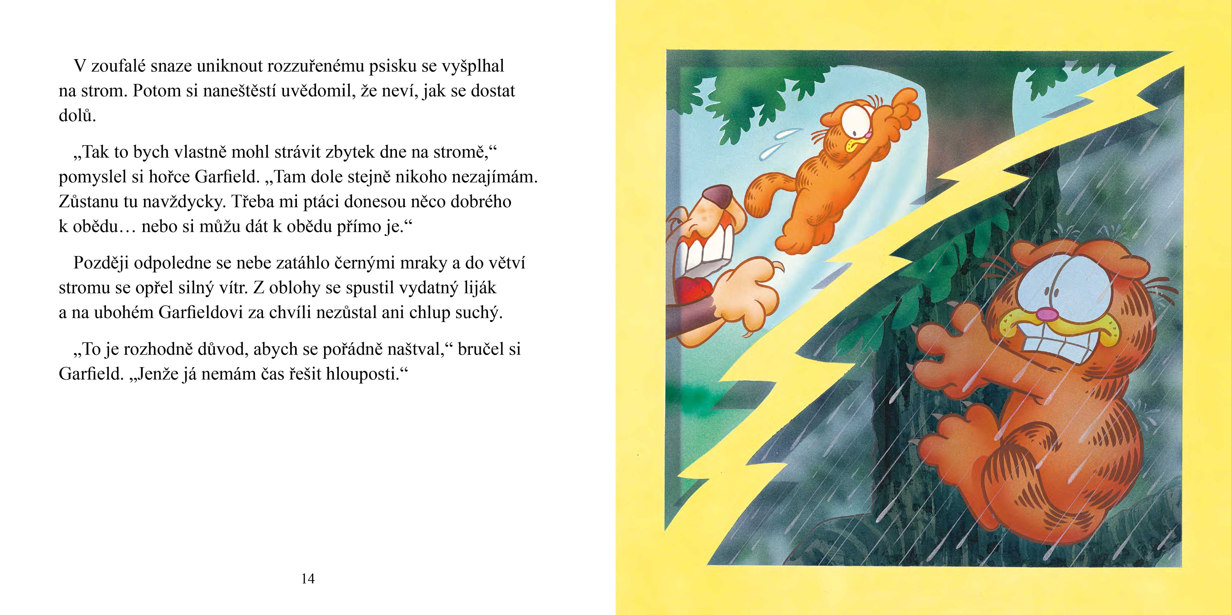 Garfieldovo narozeninové překvapení