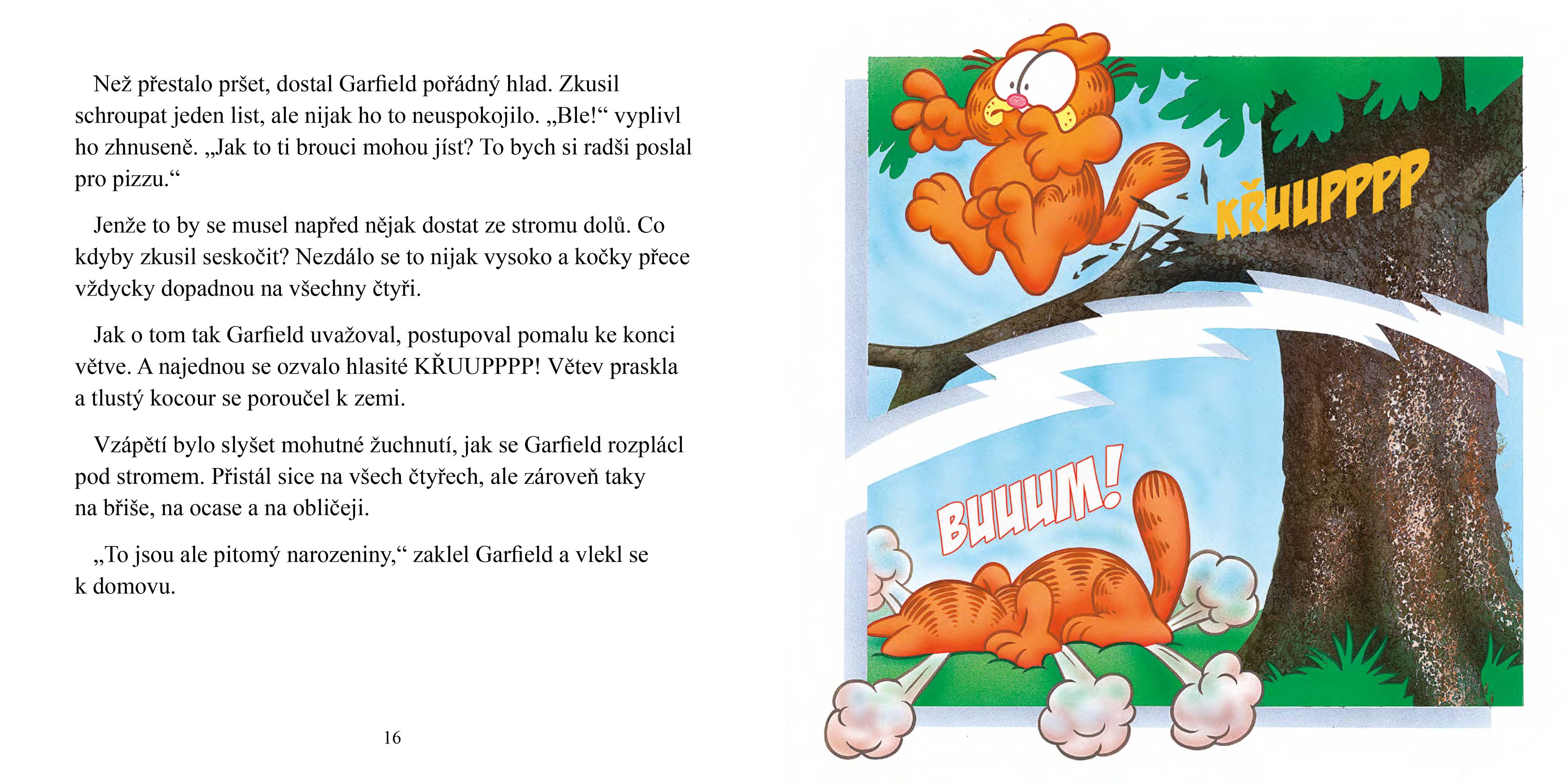 Garfieldovo narozeninové překvapení