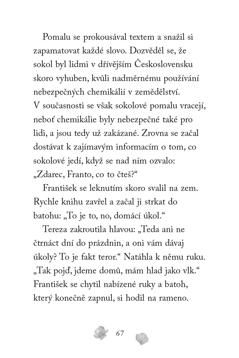 Nové příběhy se šťastným koncem – Poraněný sokol