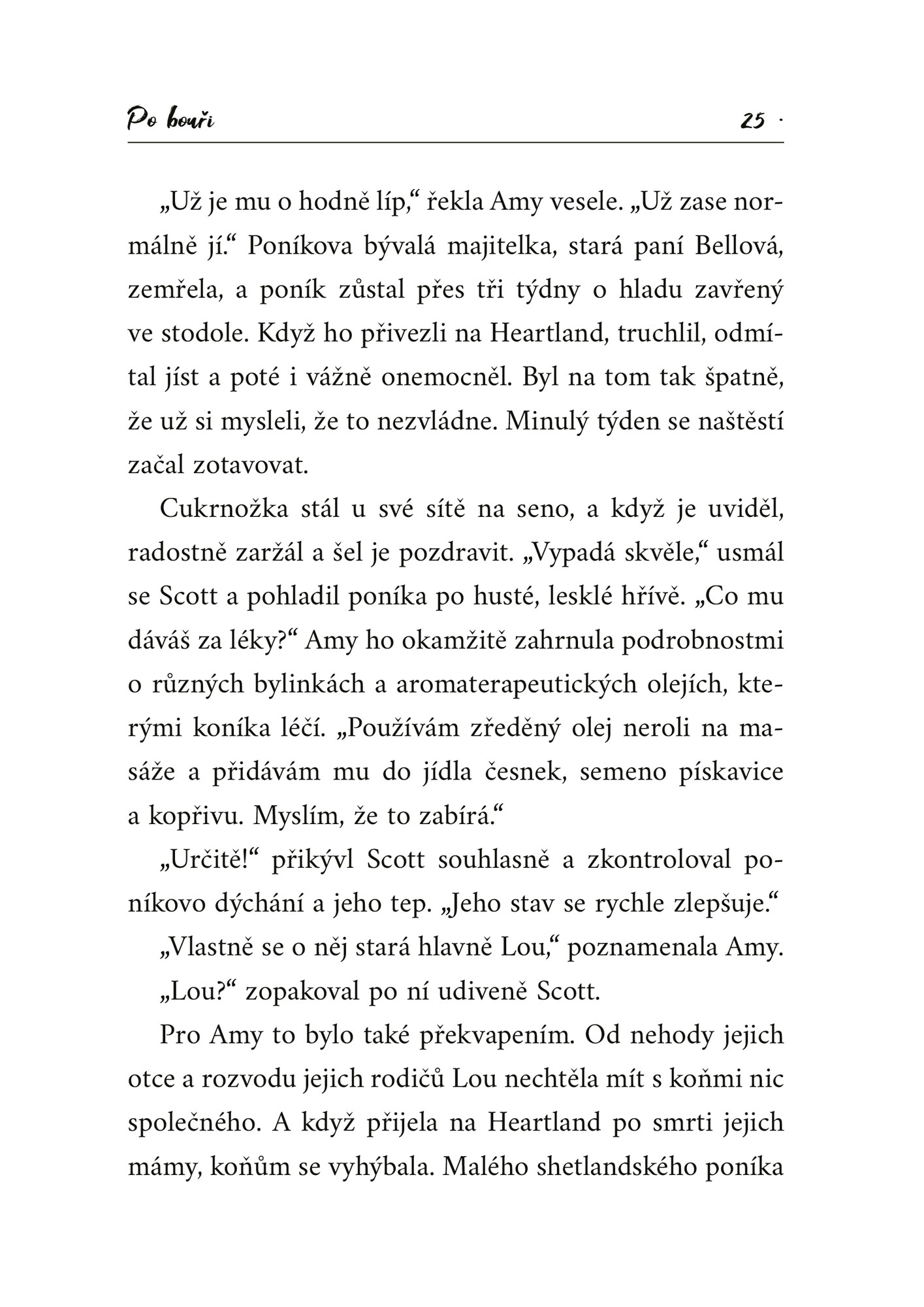 Heartland: Po bouři