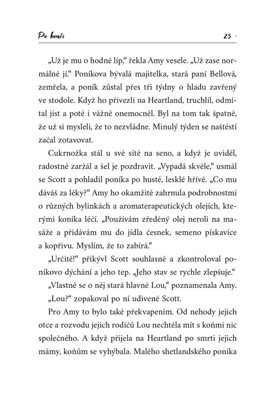 Heartland: Po bouři