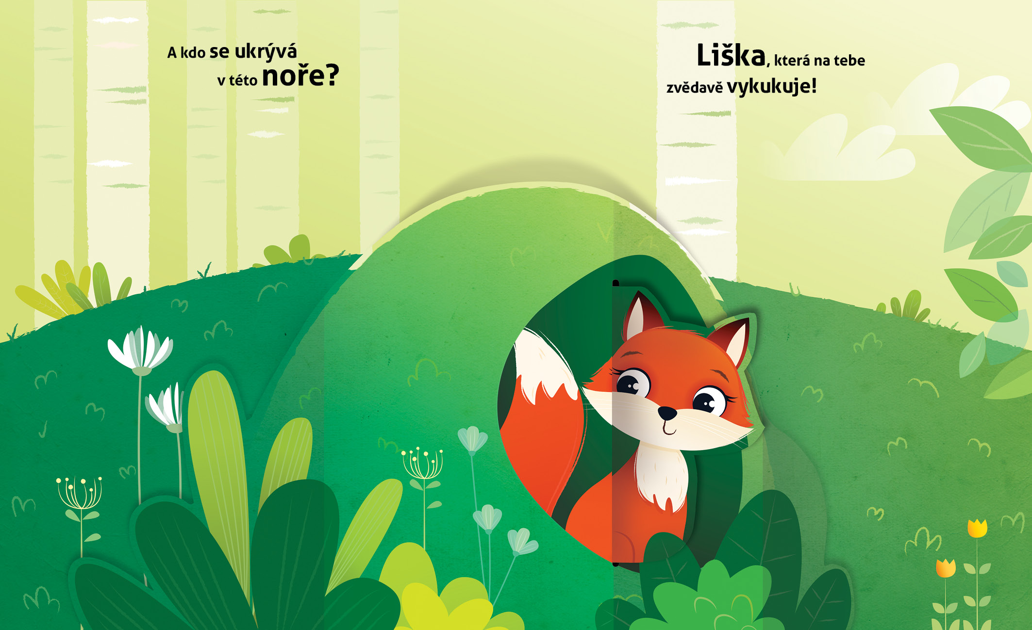 Kde bydlí zvířátka v lese