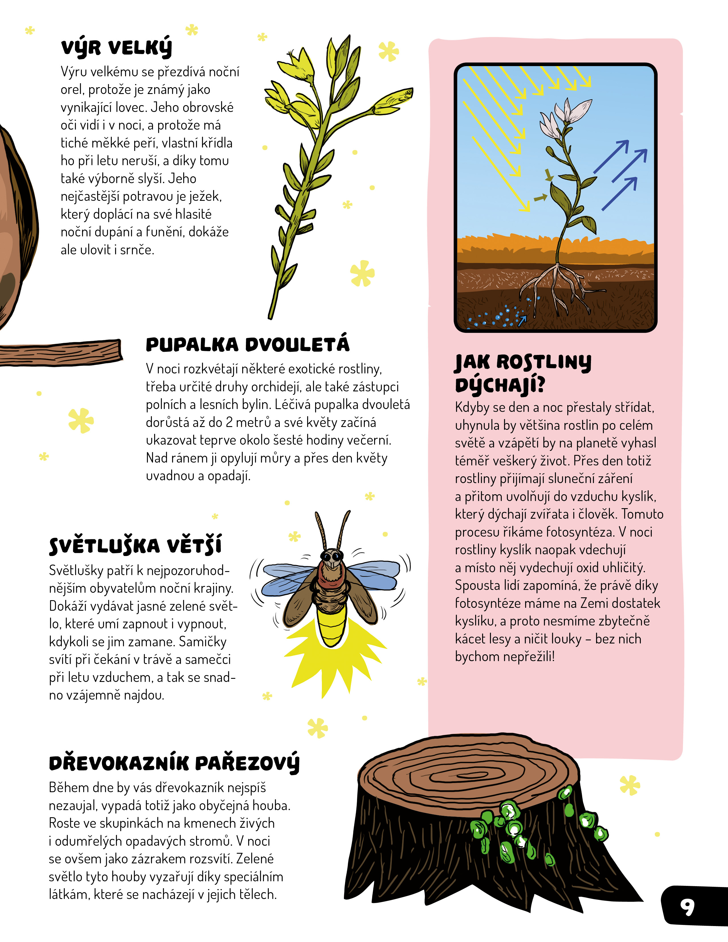 Velká kniha tmy
