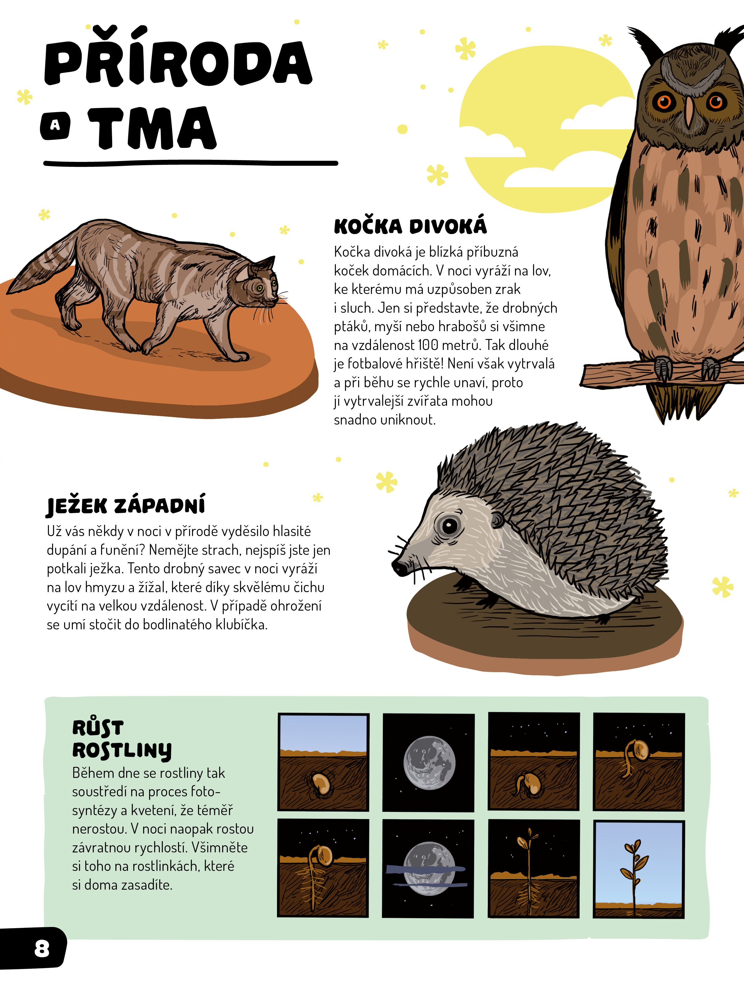 Velká kniha tmy