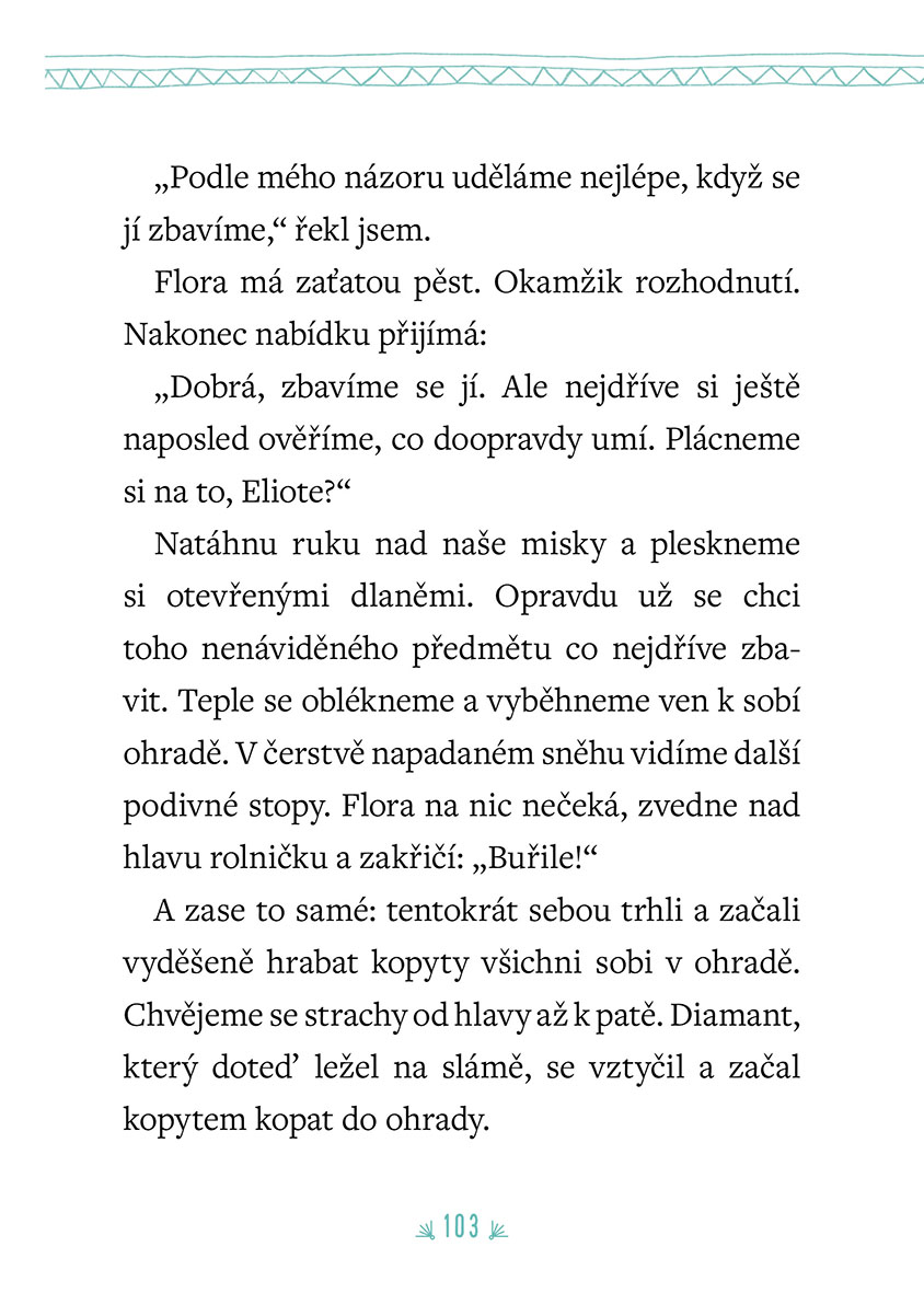 Kouzelný sob - Adventní pohádka