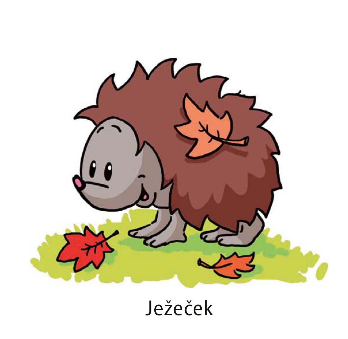 Zvířátka – Mláďátka