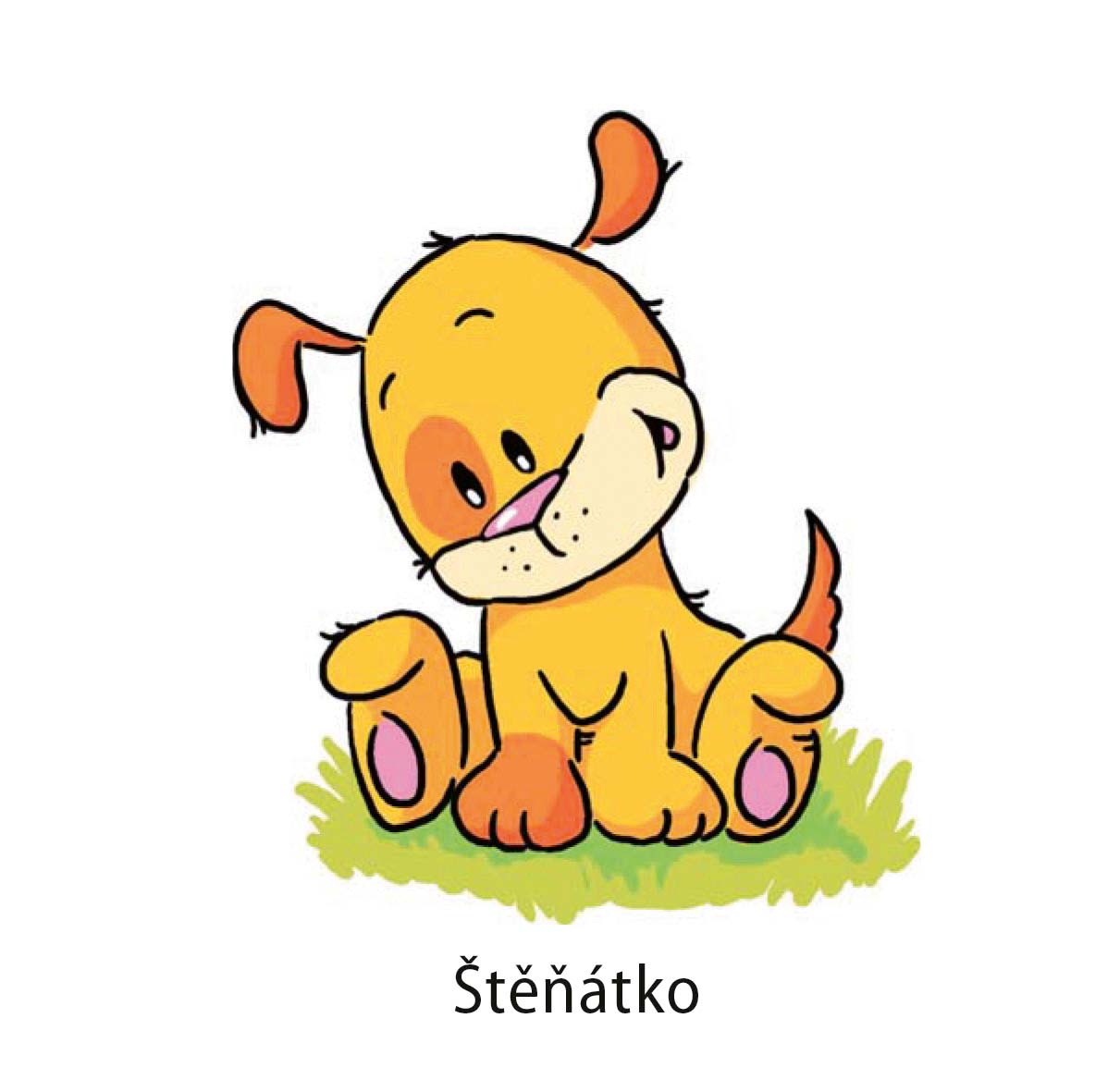 Zvířátka – Mláďátka