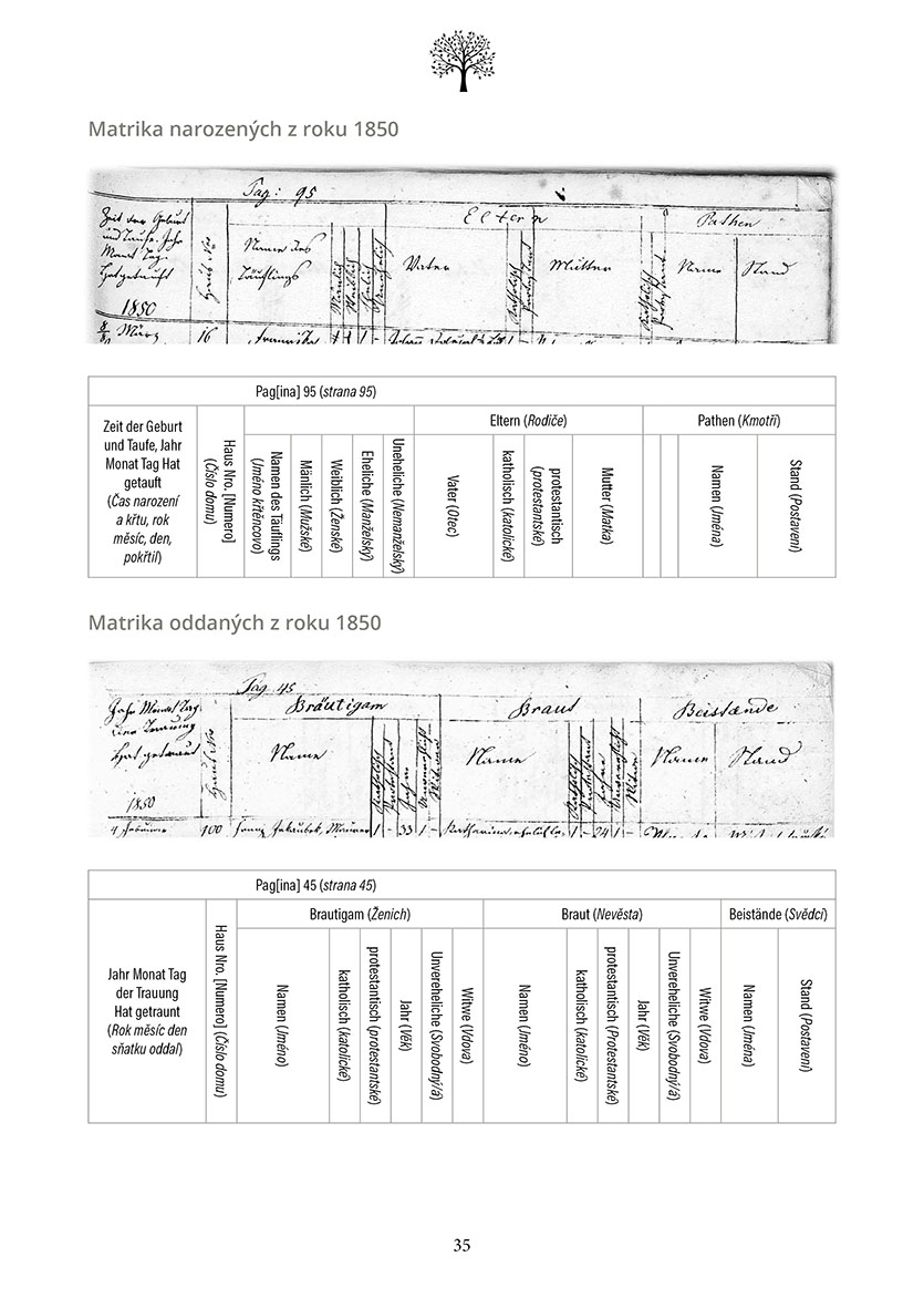 Genealogie pro laiky