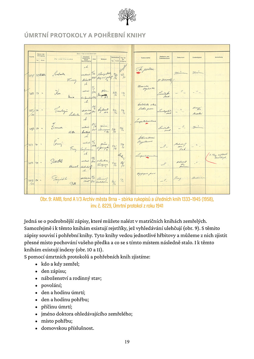 Genealogie pro laiky
