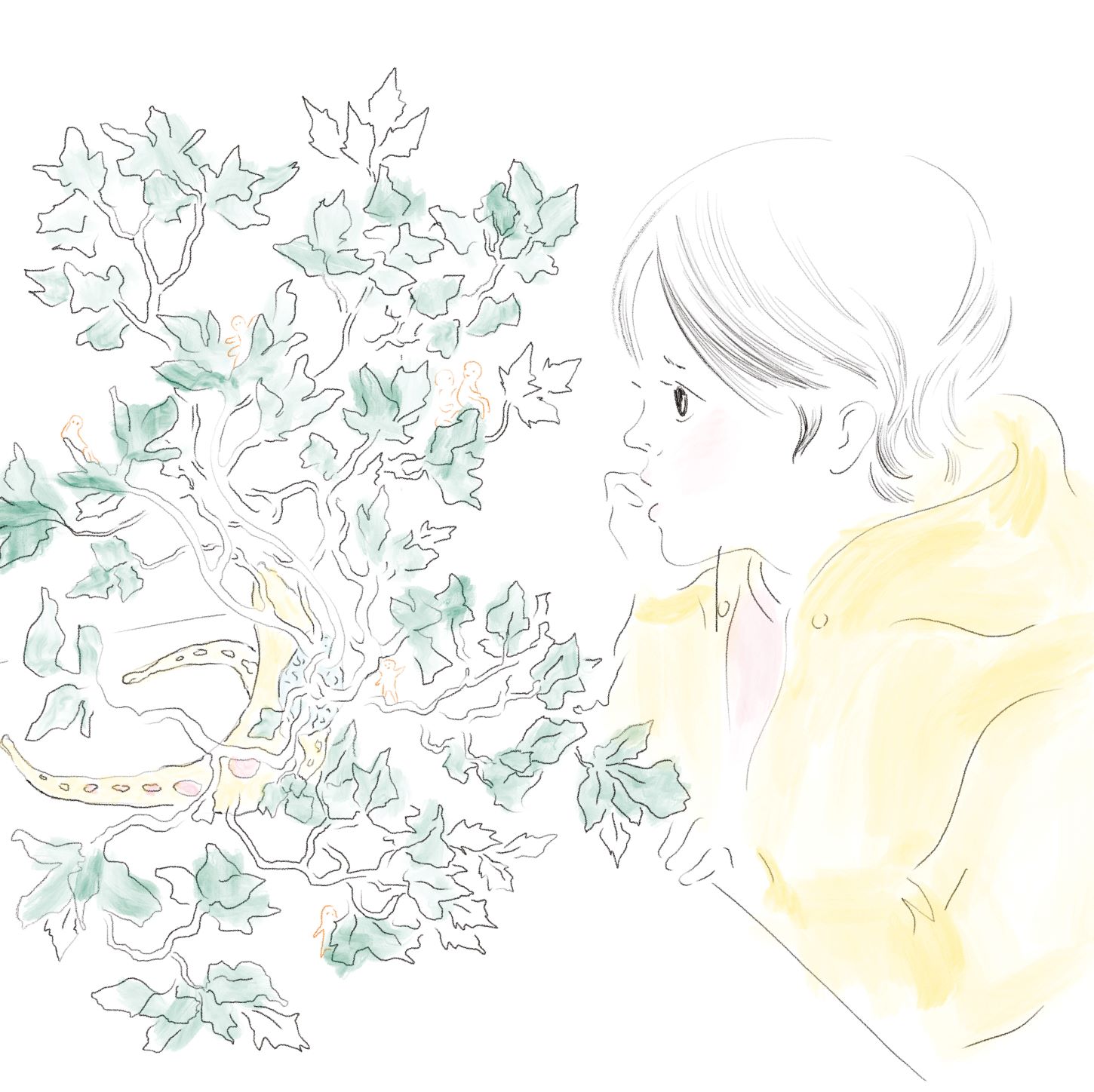 Emy a Drak