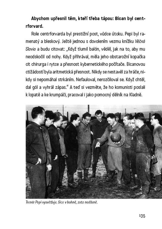Sešívané srdce