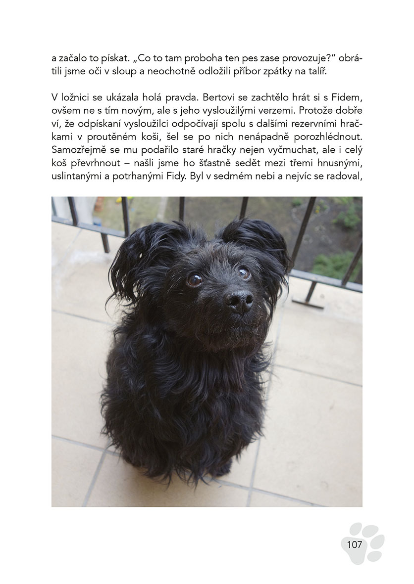 Černý Bert - příběhy ze života nehorázně spokojeného psa