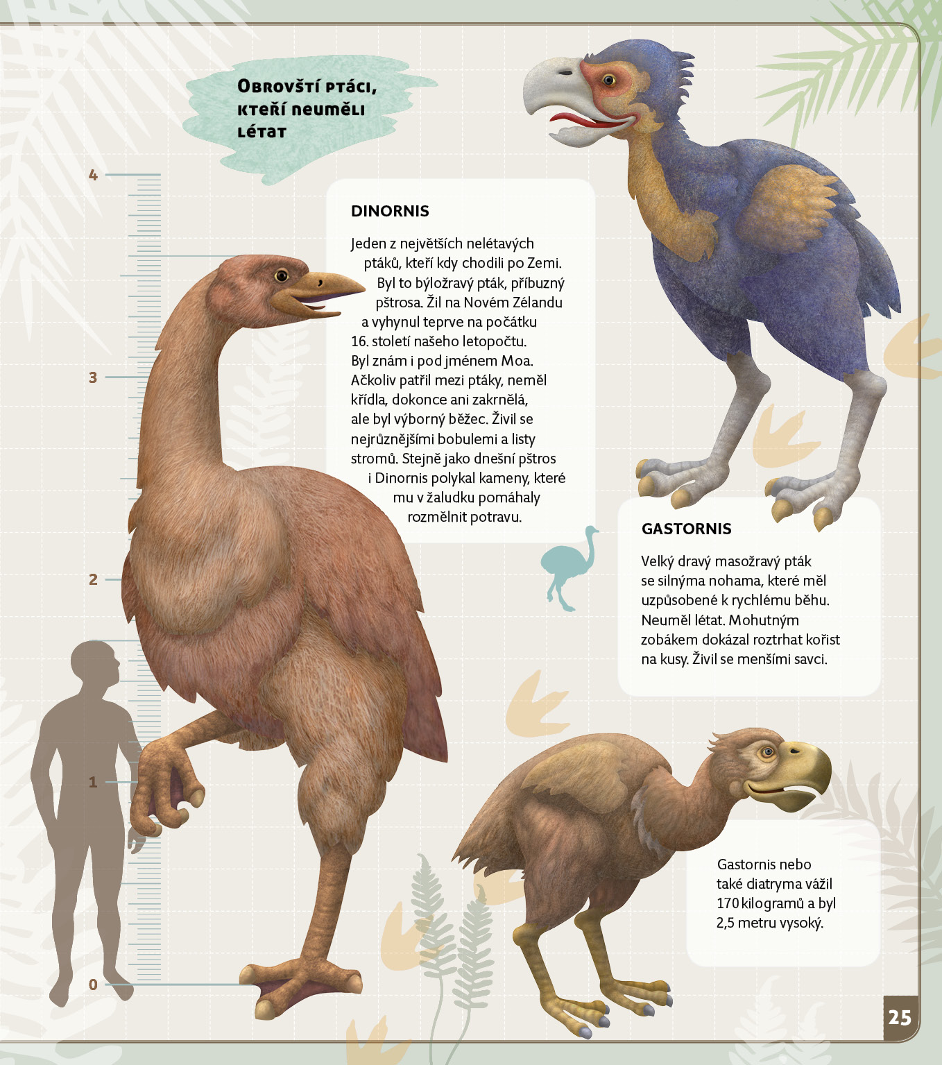 Cestovatel časem - Prehistorie
