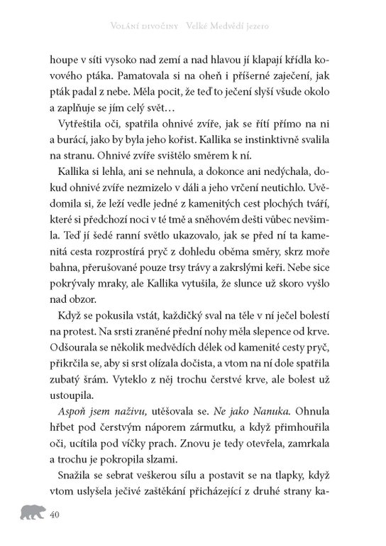 Volání divočiny (2): Velké Medvědí jezero