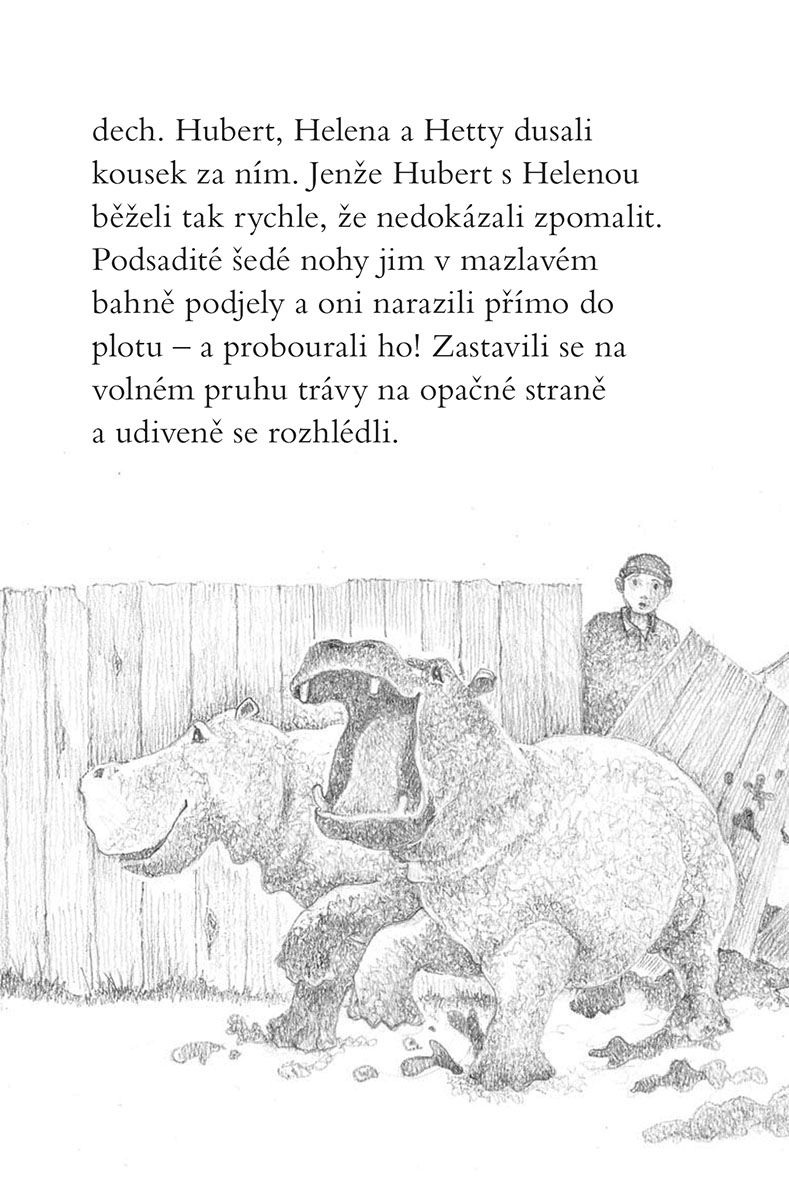 Ema a její kouzelná zoo - Šťastný hrošík