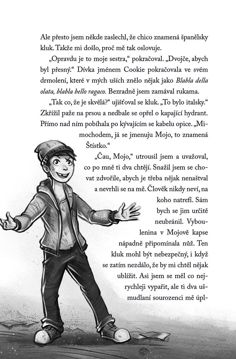 Odvážná čtyřka - Ve stínu velehor
