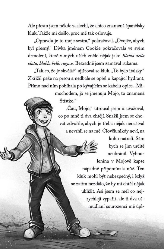 Odvážná čtyřka - Ve stínu velehor
