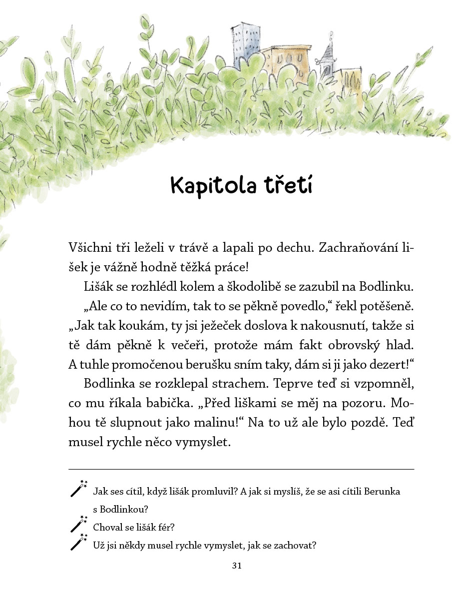 Ježek Bodlinka 