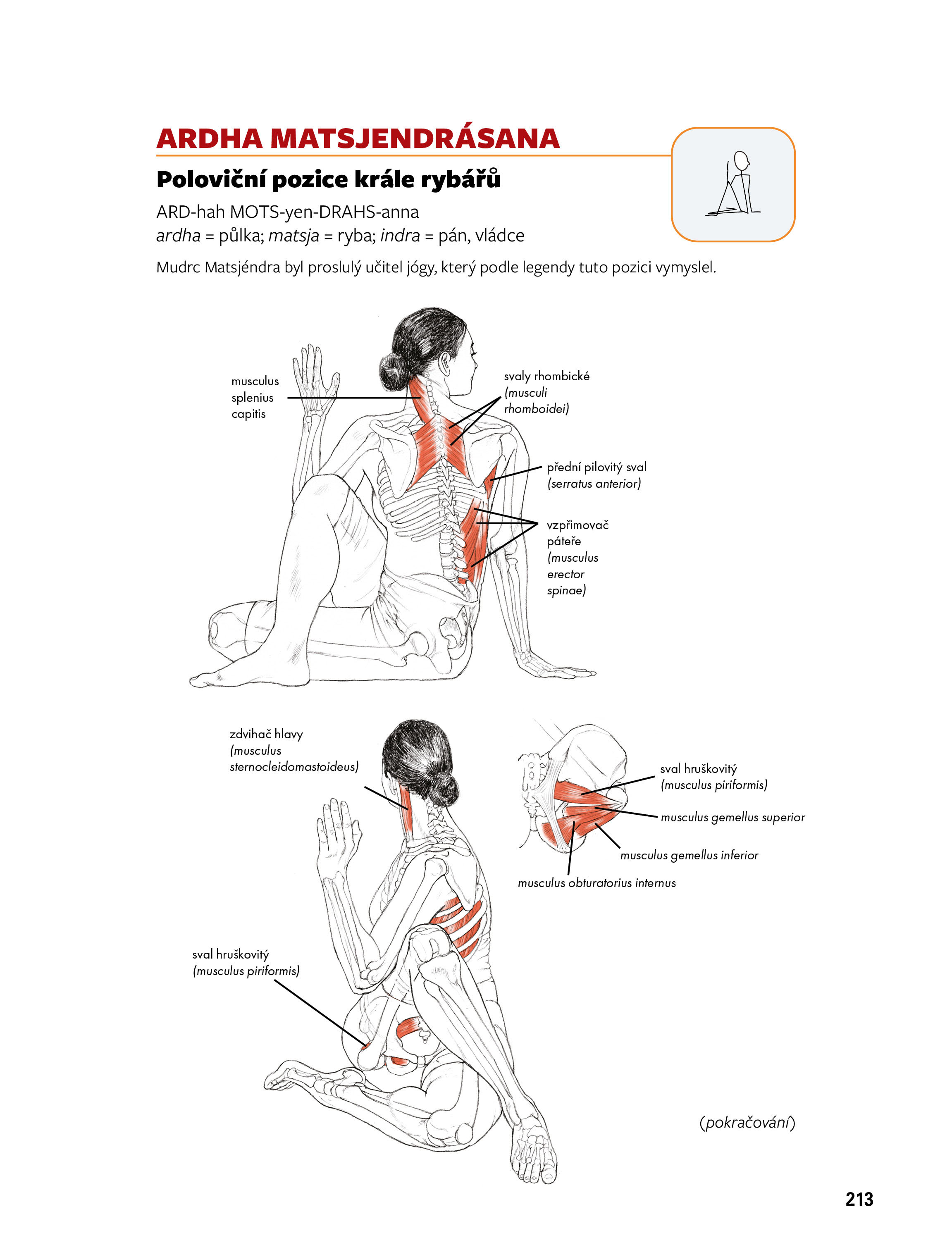 JÓGA – anatomie, 3. vydání