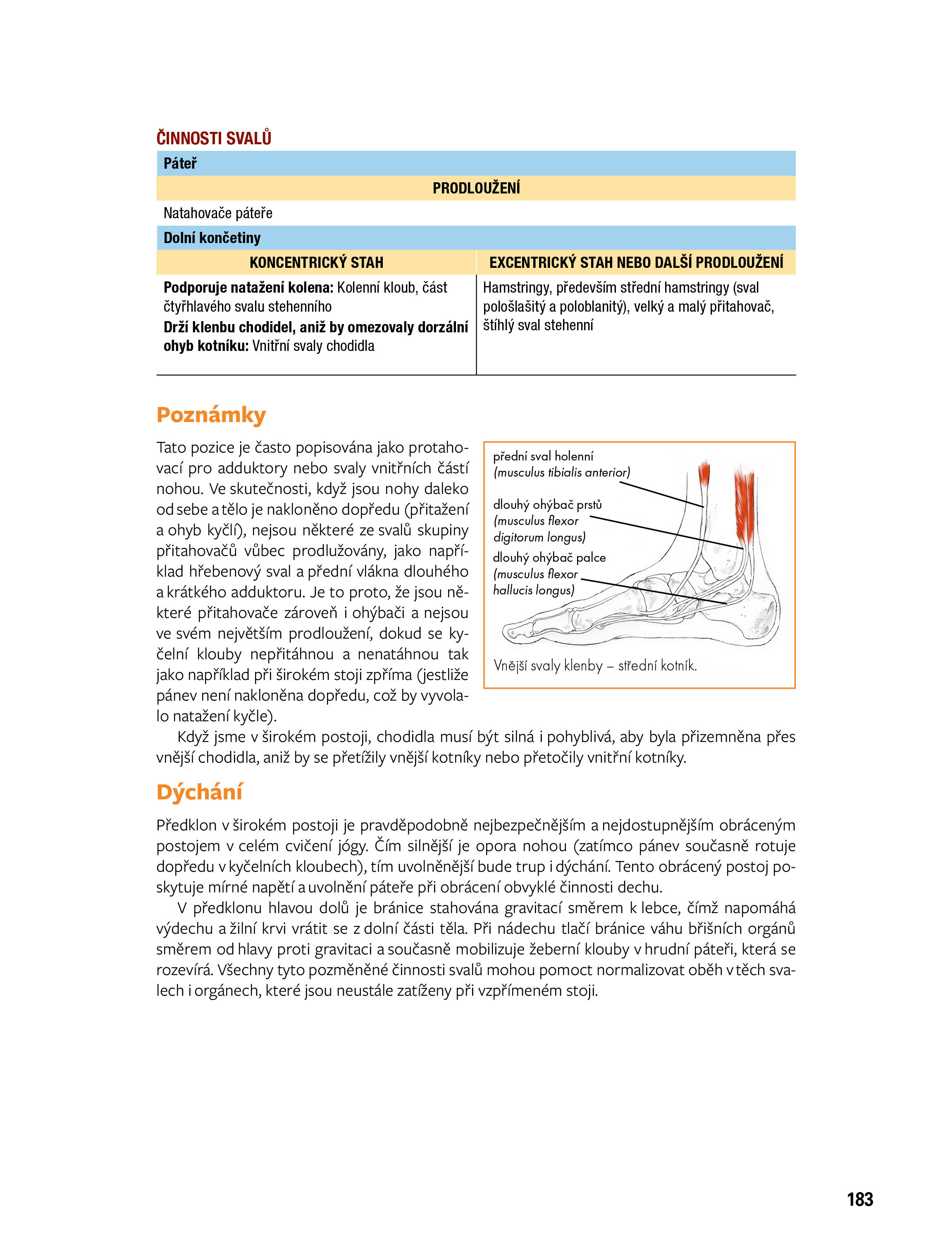 JÓGA – anatomie, 3. vydání